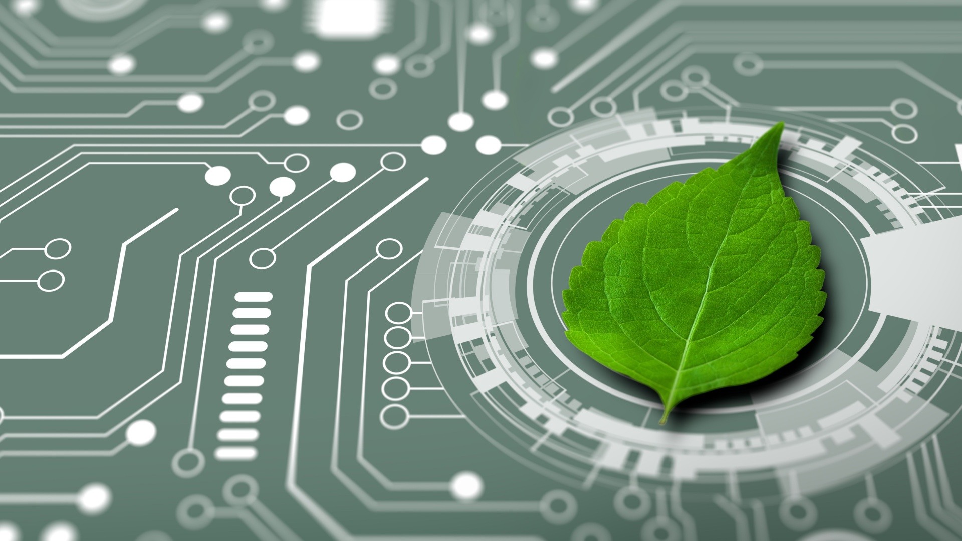 Cos’è il Green Computing e cosa cambia per i dispositivi ICT